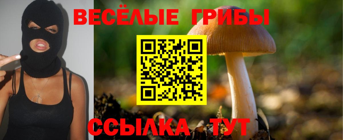 Дедовск  Псилоцибиновые грибы ЛСД  Вход с VPN 